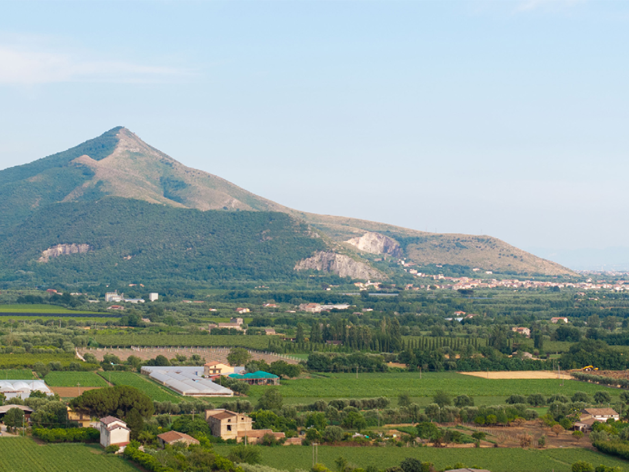 Paesaggio rurale con montagne, campi coltivati, uliveti e serre sotto un cielo azzurro.