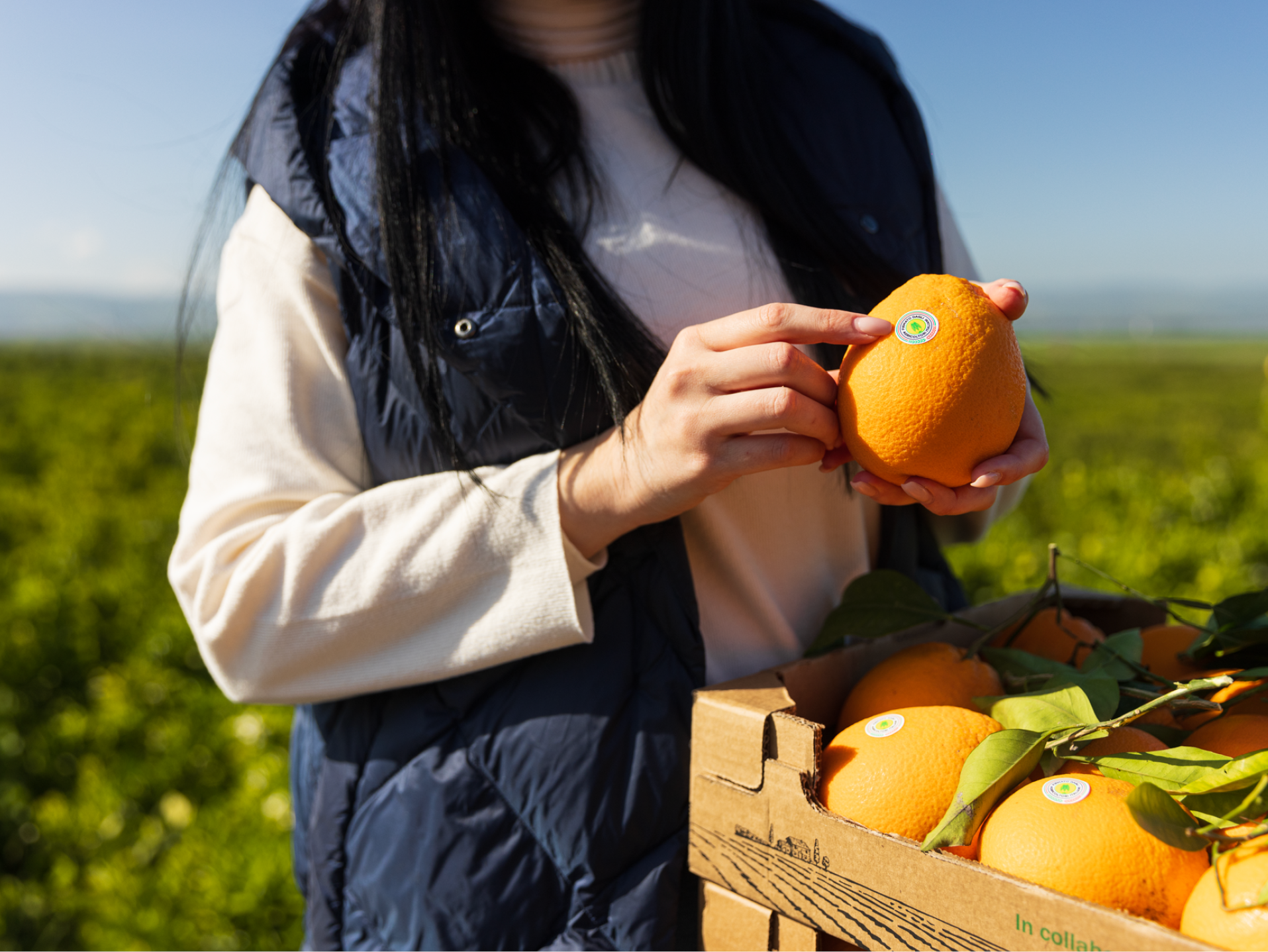 Donna in un campo che tiene un'arancia con un adesivo, con una scatola di arance.