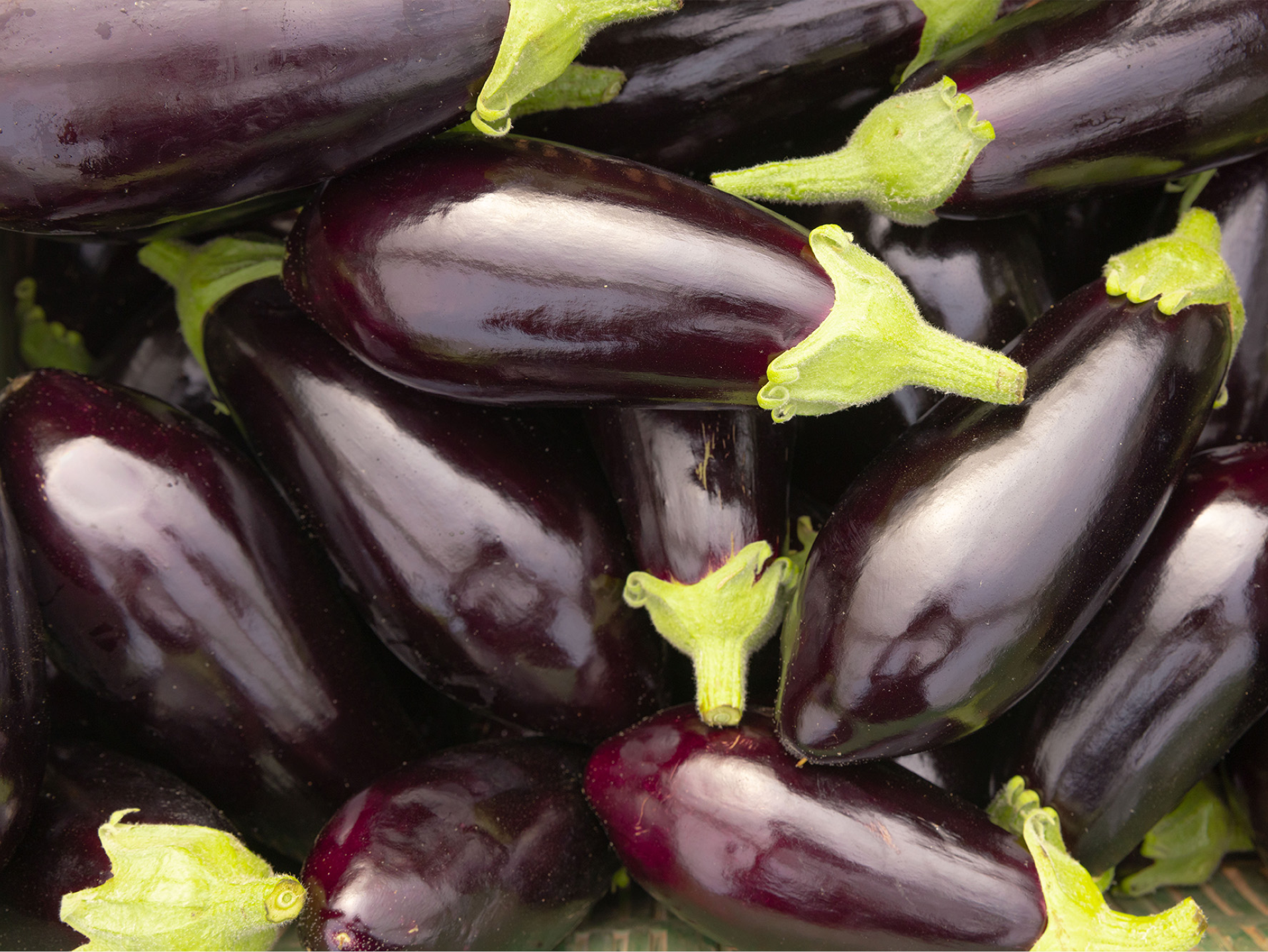 Un mucchio di melanzane viola scuro con calici verdi, lucide e fresche.
