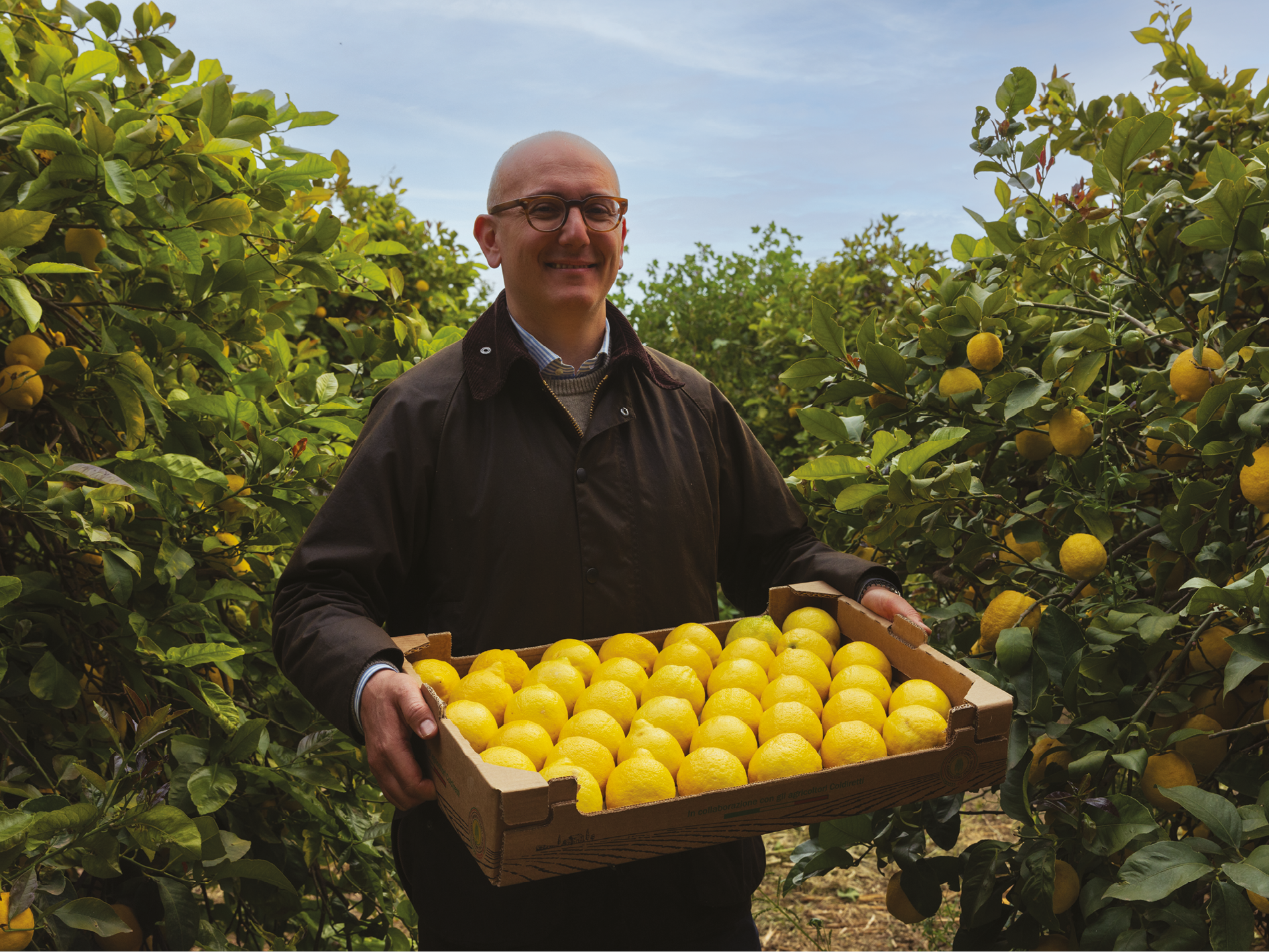 Uomo sorridente in un limoneto che tiene una cassetta di limoni freschi.