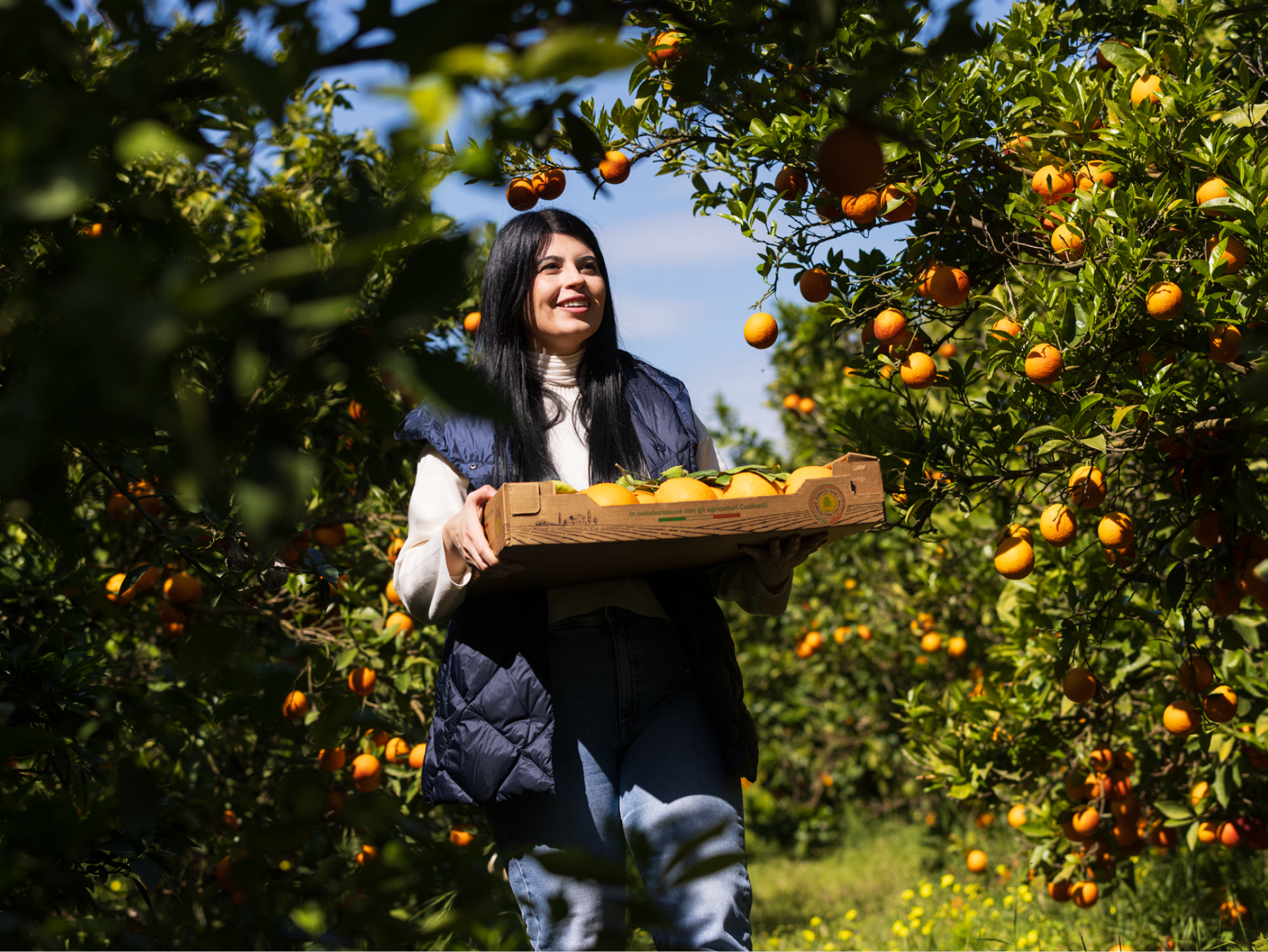 Donna sorridente in un aranceto, tiene una cassetta di arance fresche.