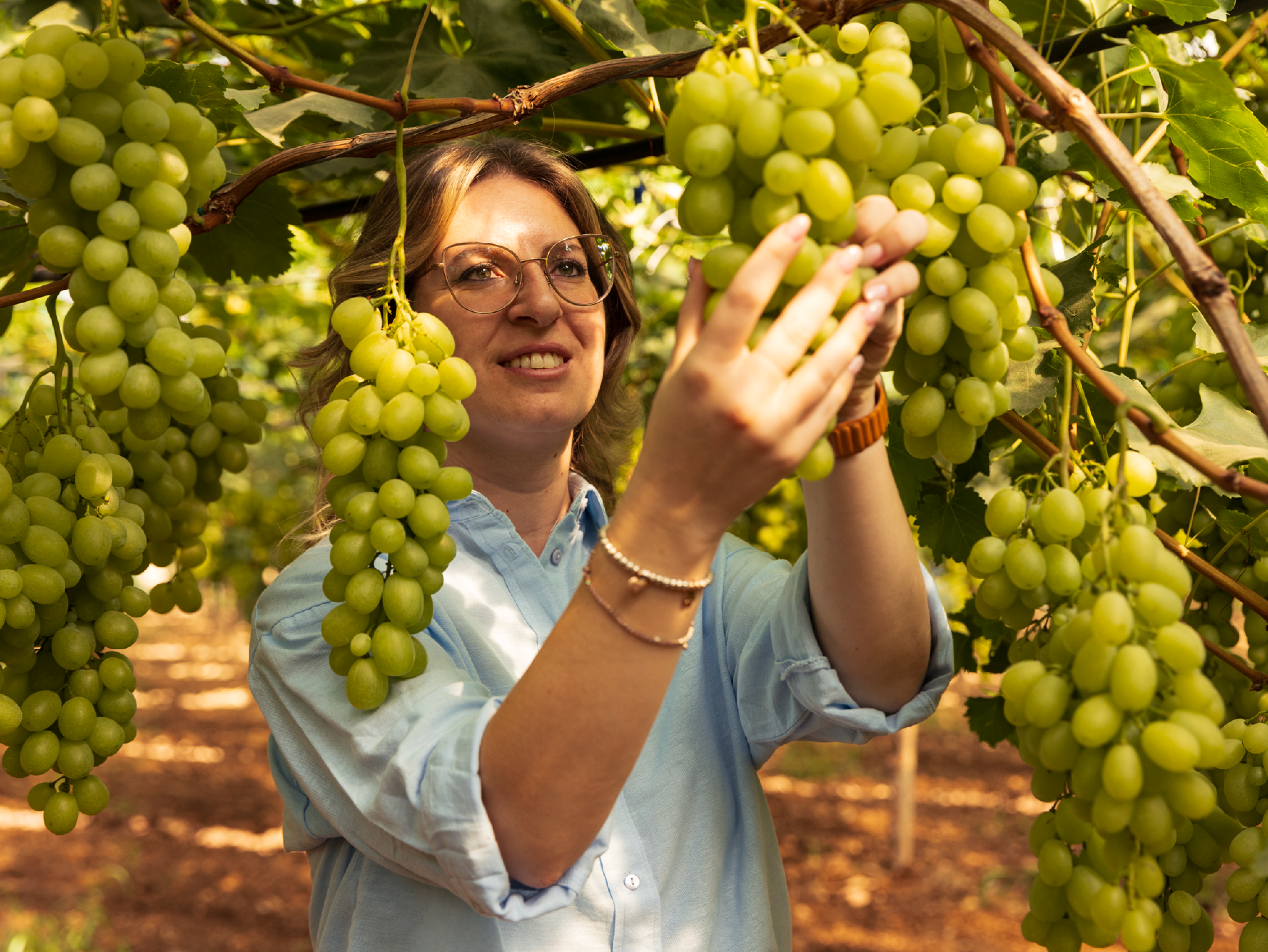 Una donna sorridente in un vigneto che tiene un grappolo d'uva verde.