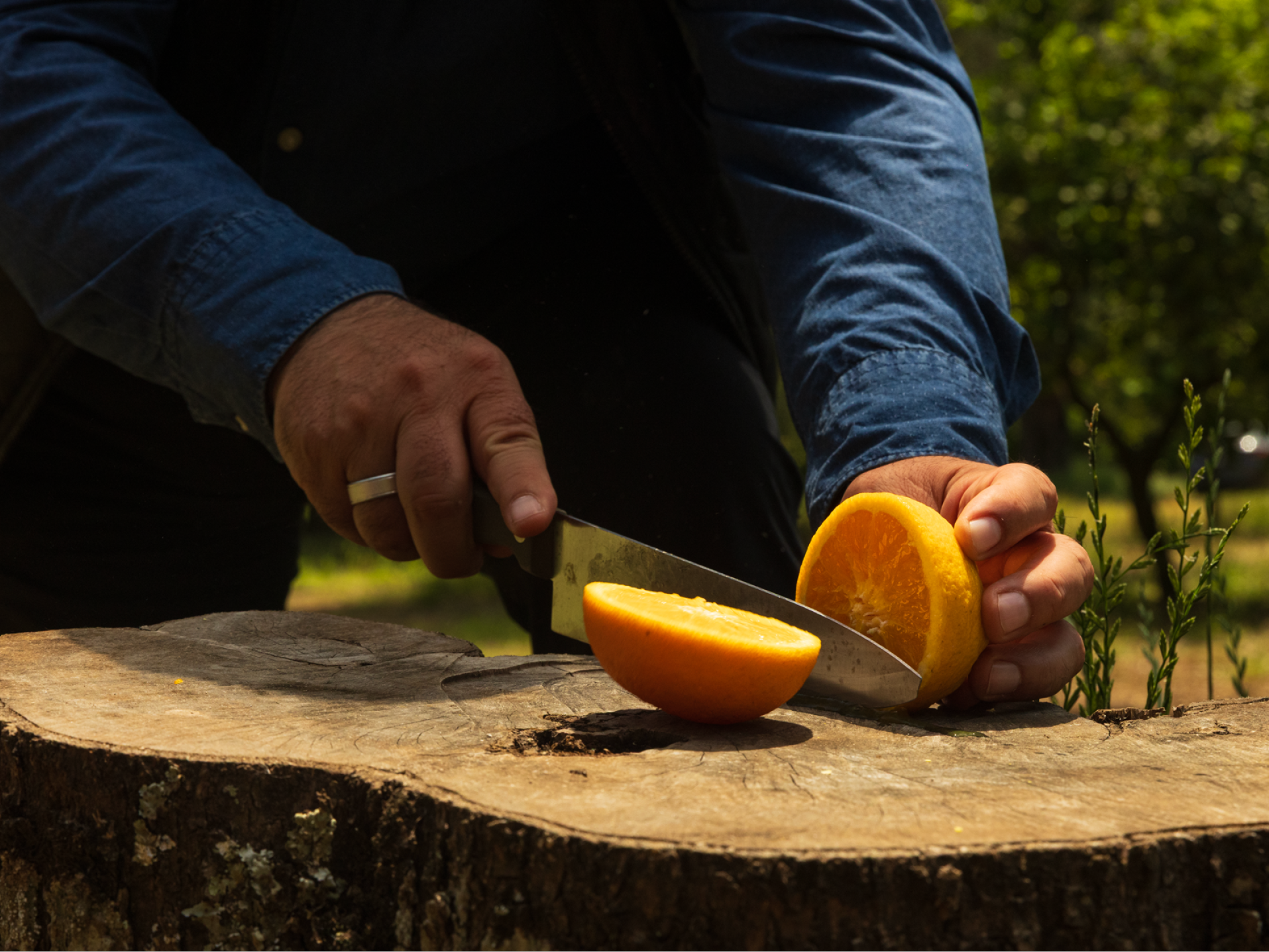 Mani che tagliano un'arancia a metà su un ceppo di legno all'aperto.