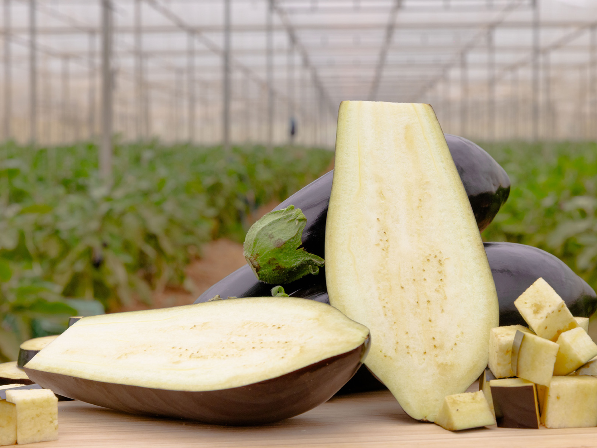 Melanzane intere, a metà e a cubetti su un tagliere, con una serra sullo sfondo.