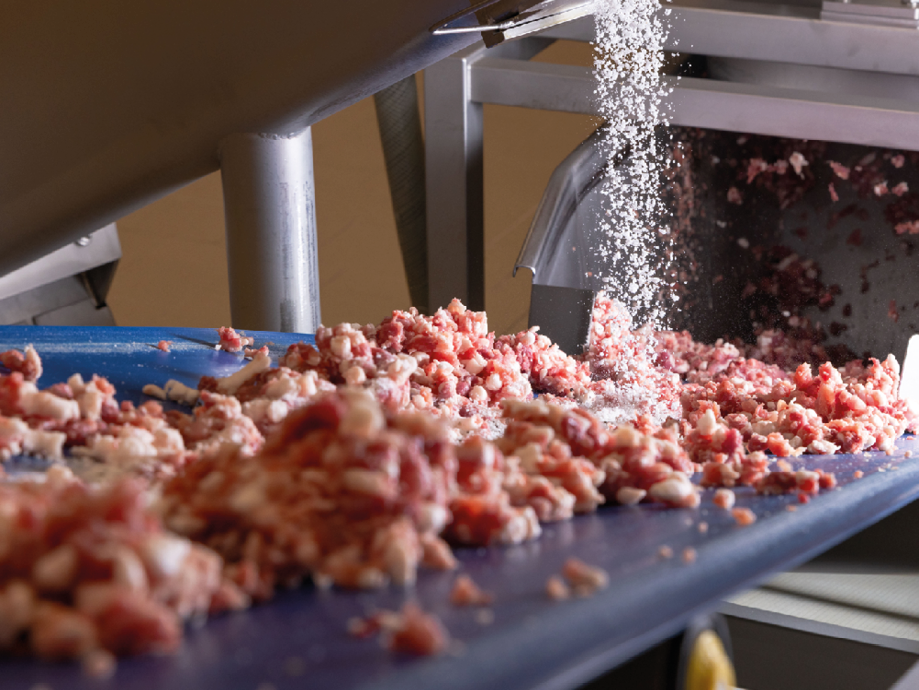 Carne macinata fresca salata su un nastro trasportatore industriale.