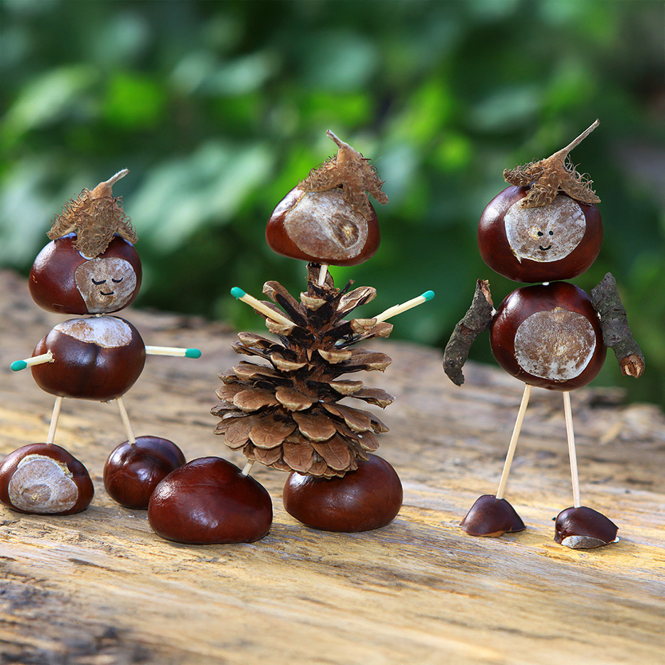 Figure di castagne e pigne su una superficie di legno.