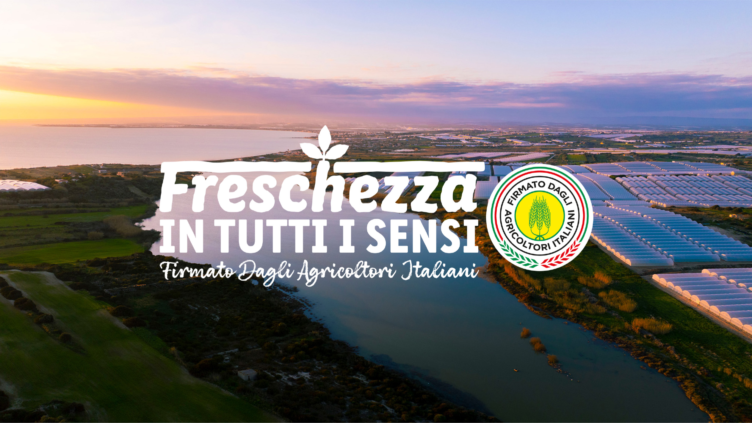 FDAI - Pomodori Datterini - VIDEO