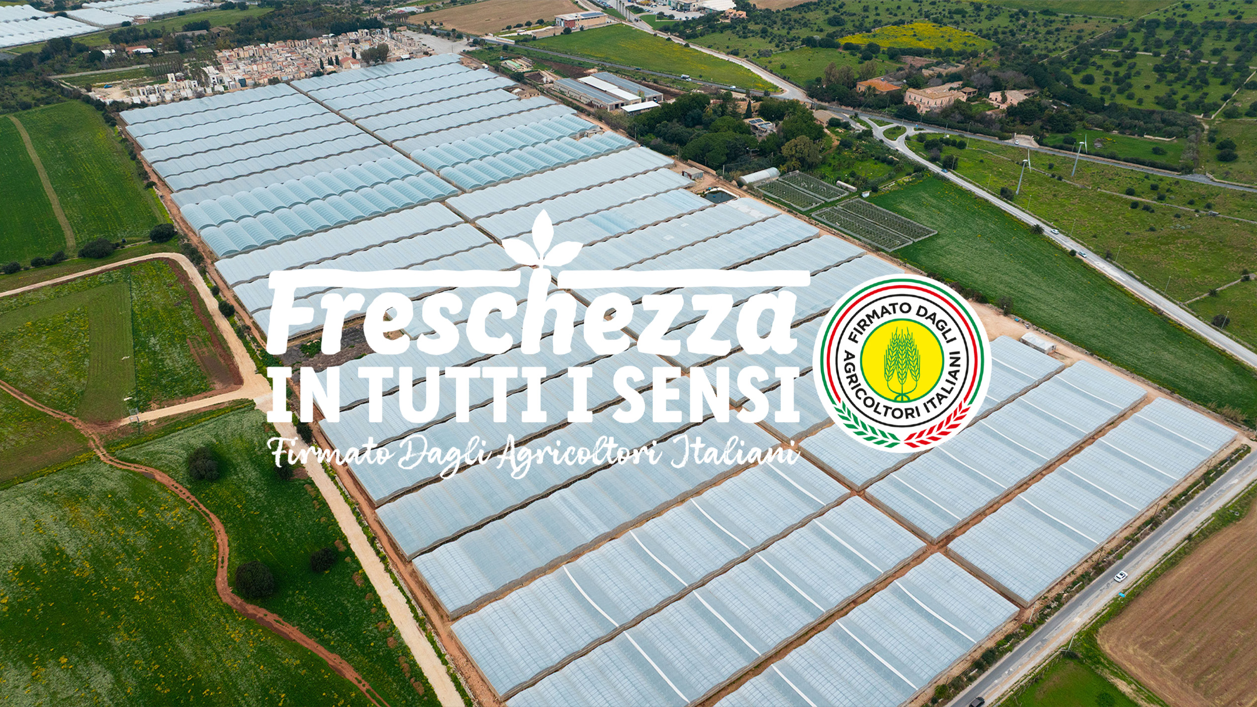 Serre agricole estese con campi verdi e testo 'Freschezza in tutti i sensi' e logo circolare.
