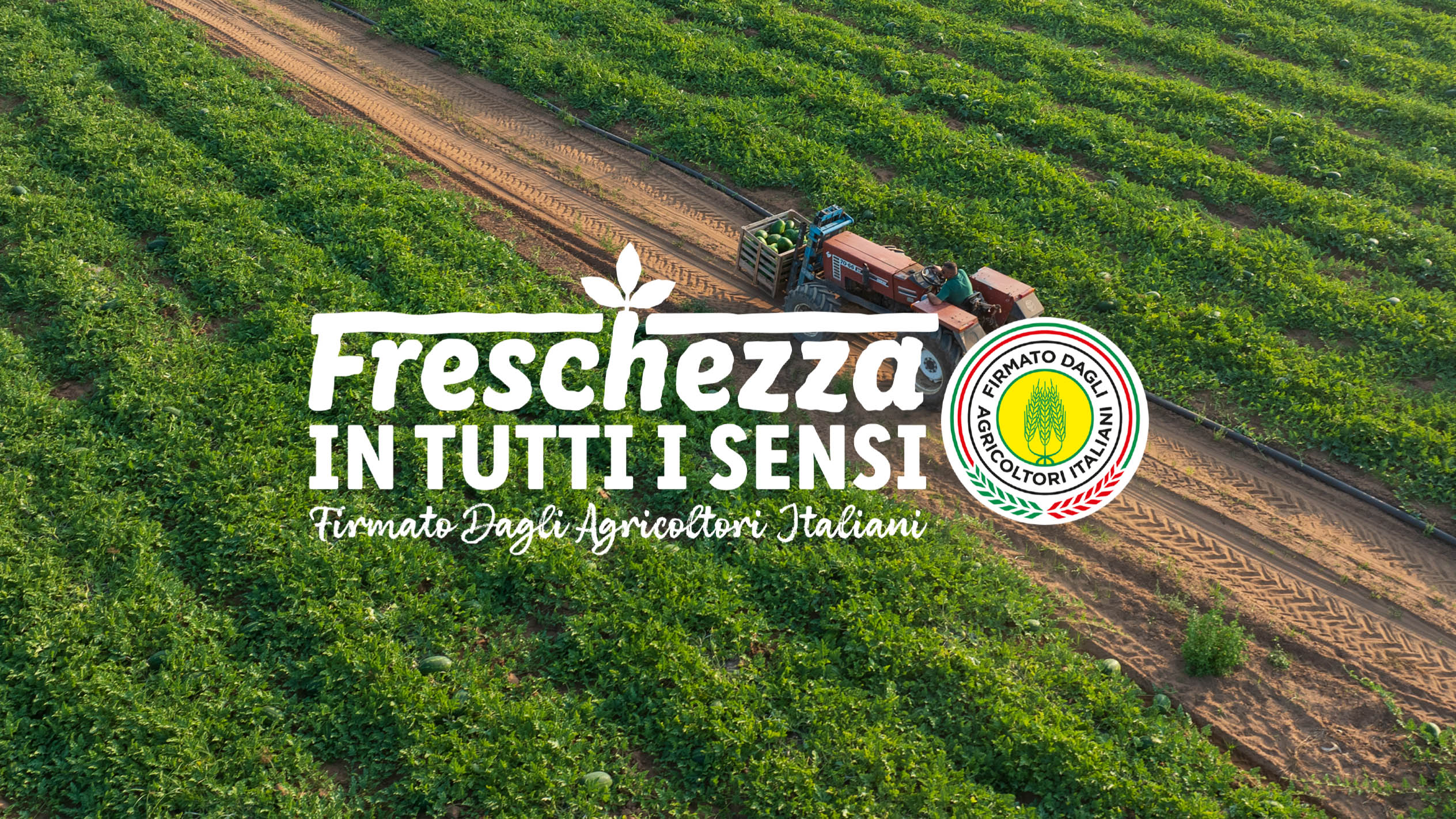 Freschezza in tutti i sensi - Video Documentario