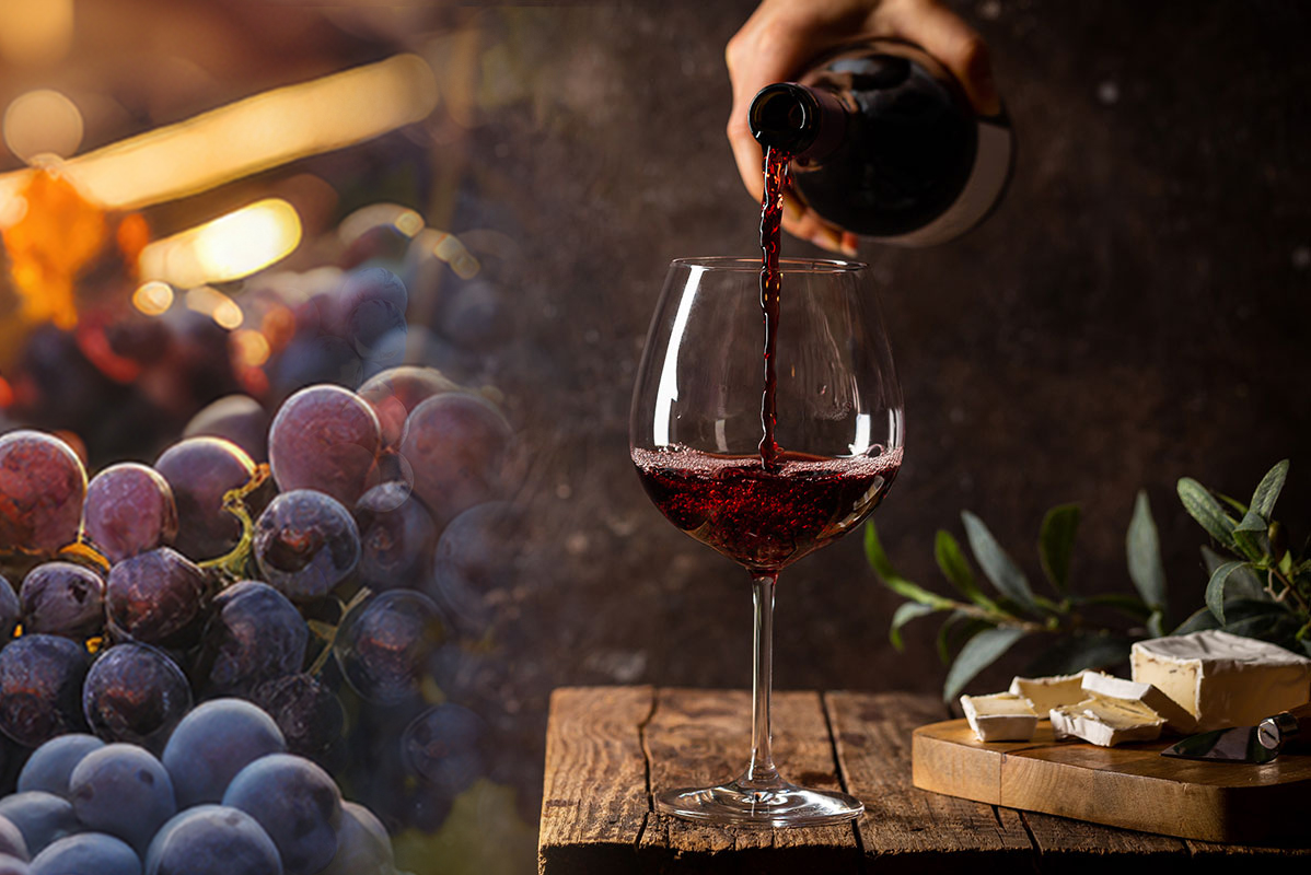 Vino, formaggio e uva.