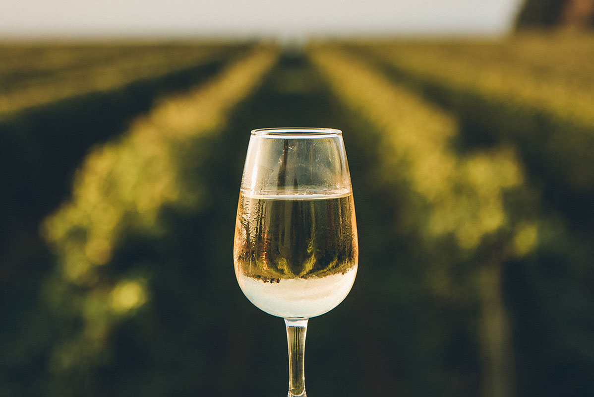 I nostri Vini Bianchi e Rosè Lidl