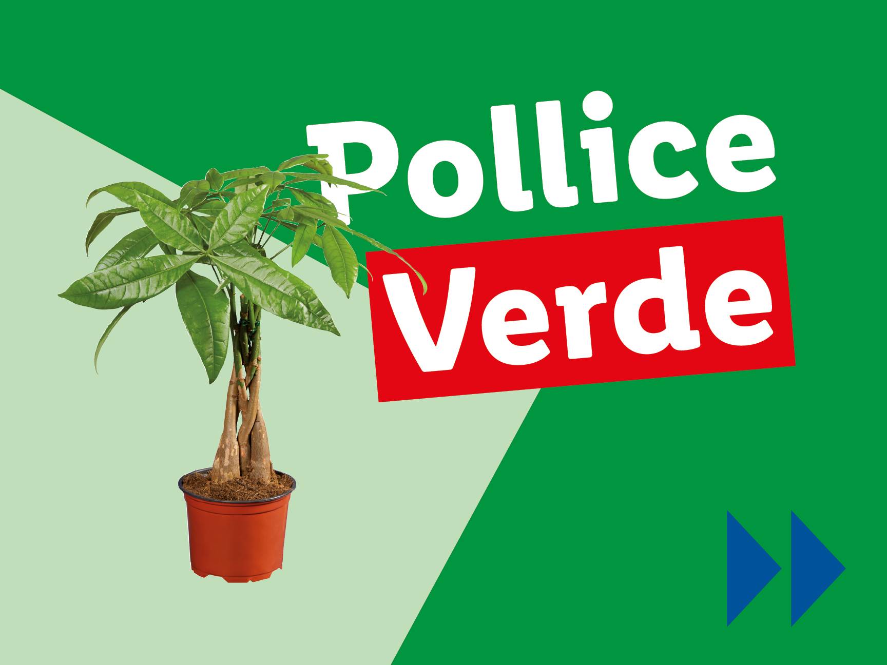 Pollice Verde
