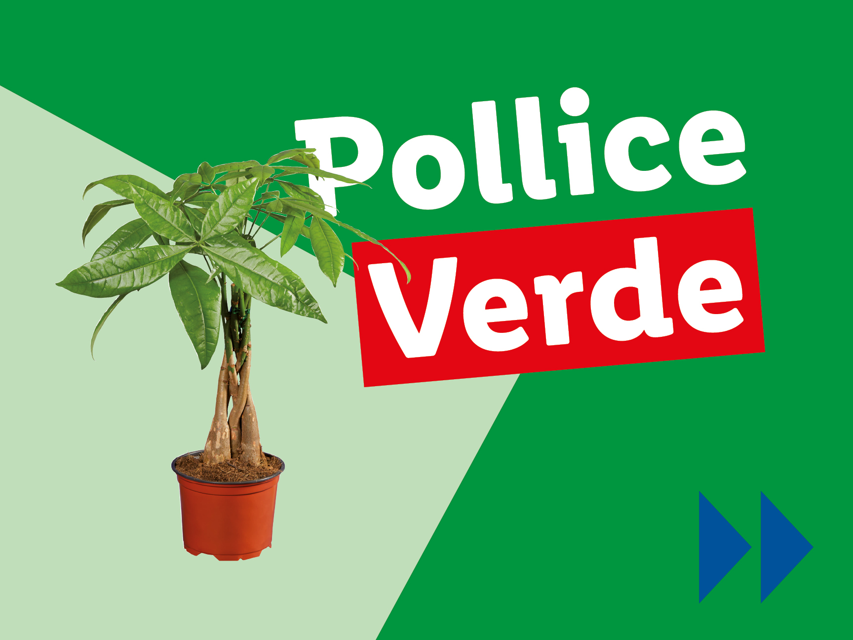 Pollice Verde