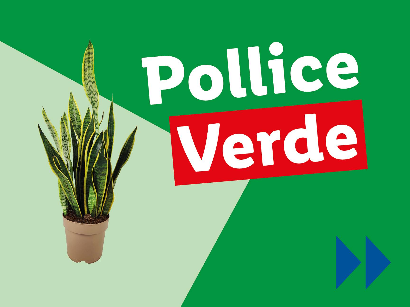 Pollice Verde