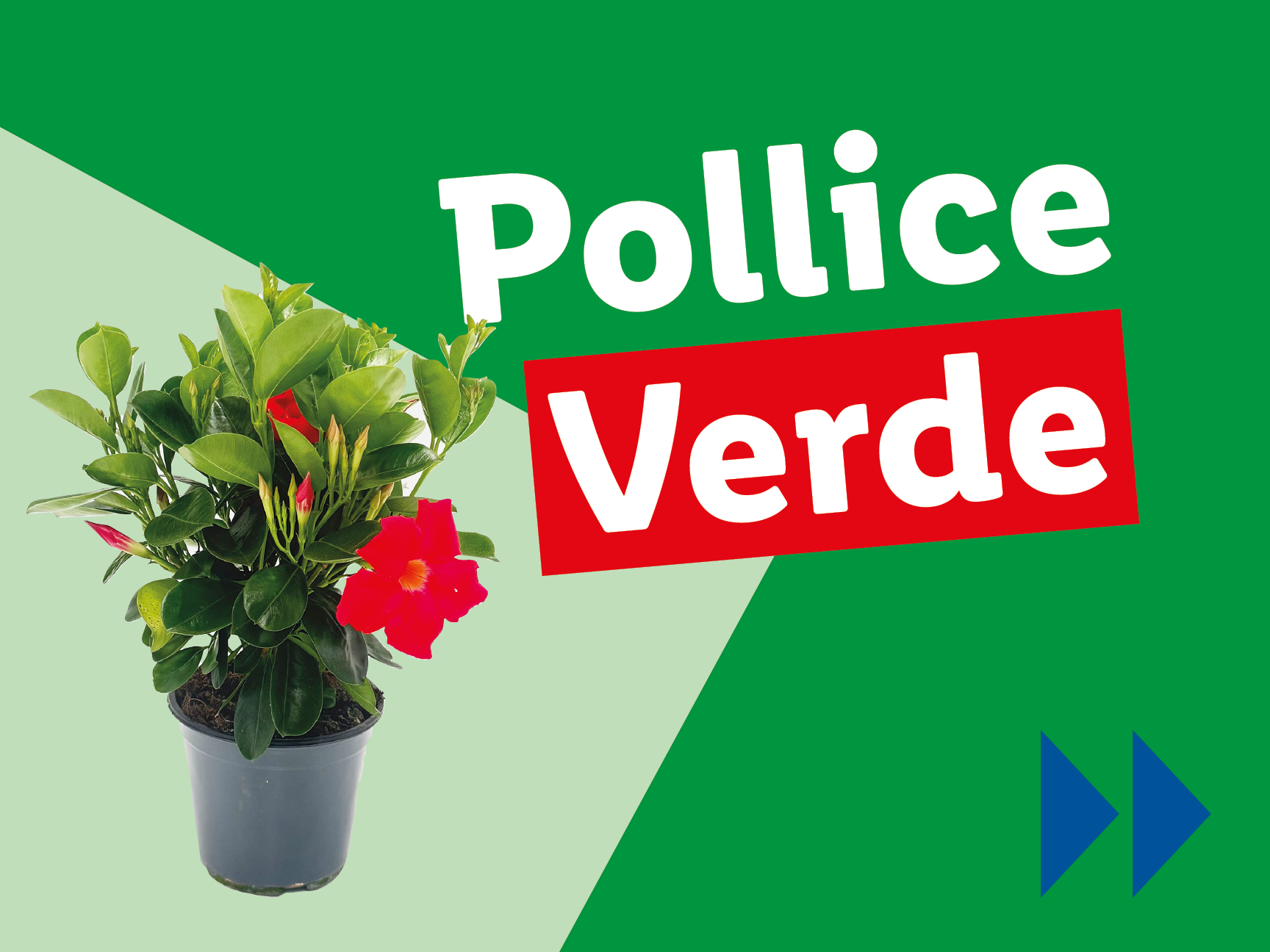 Pollice Verde