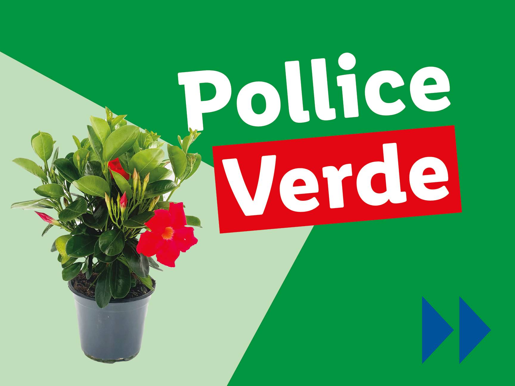 Pollice Verde