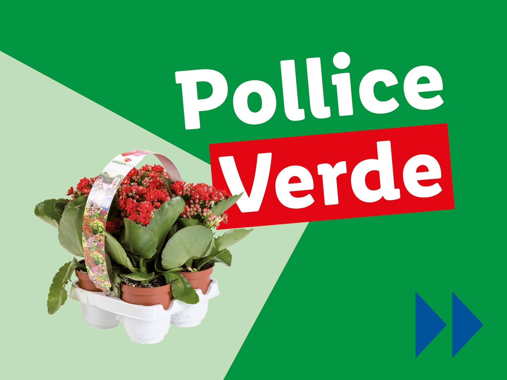 Pollice Verde