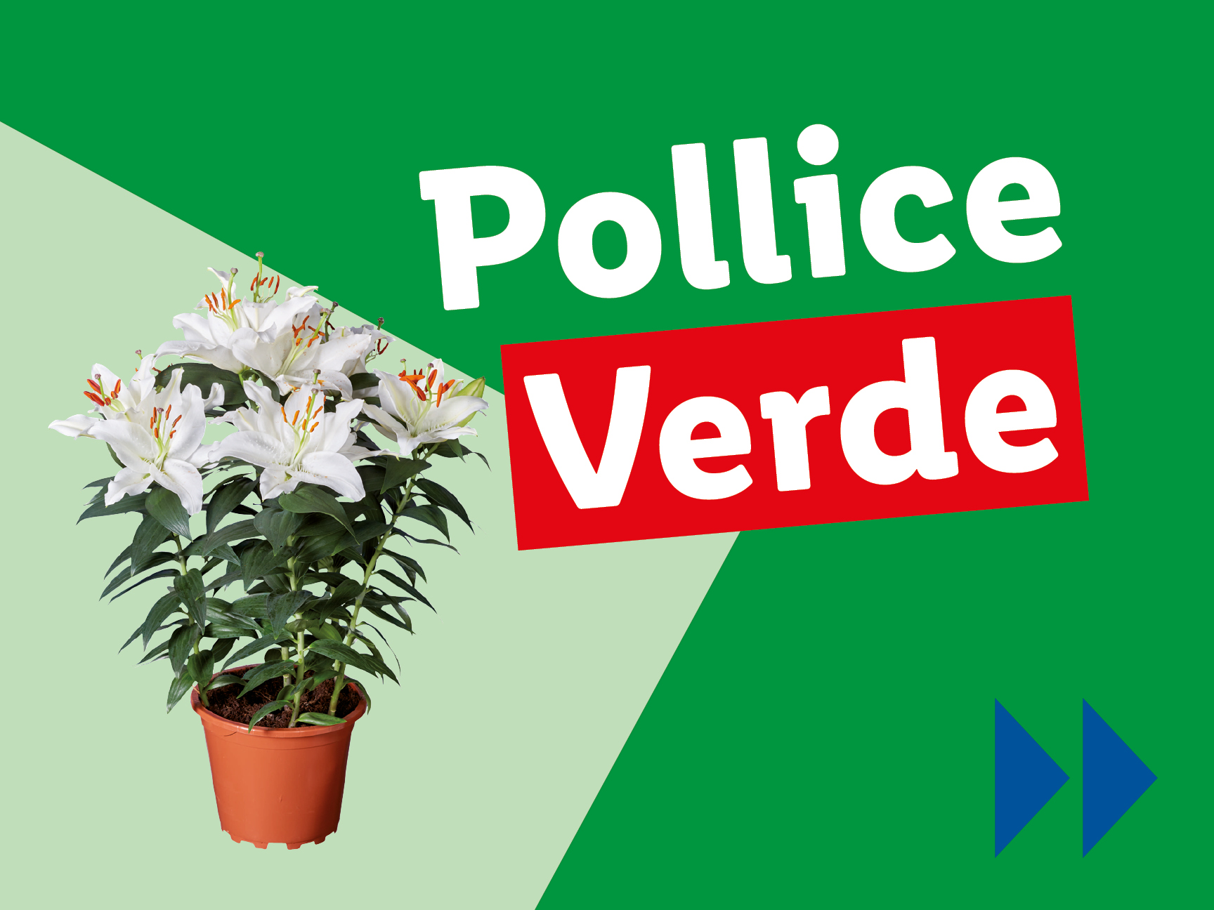 Pollice Verde