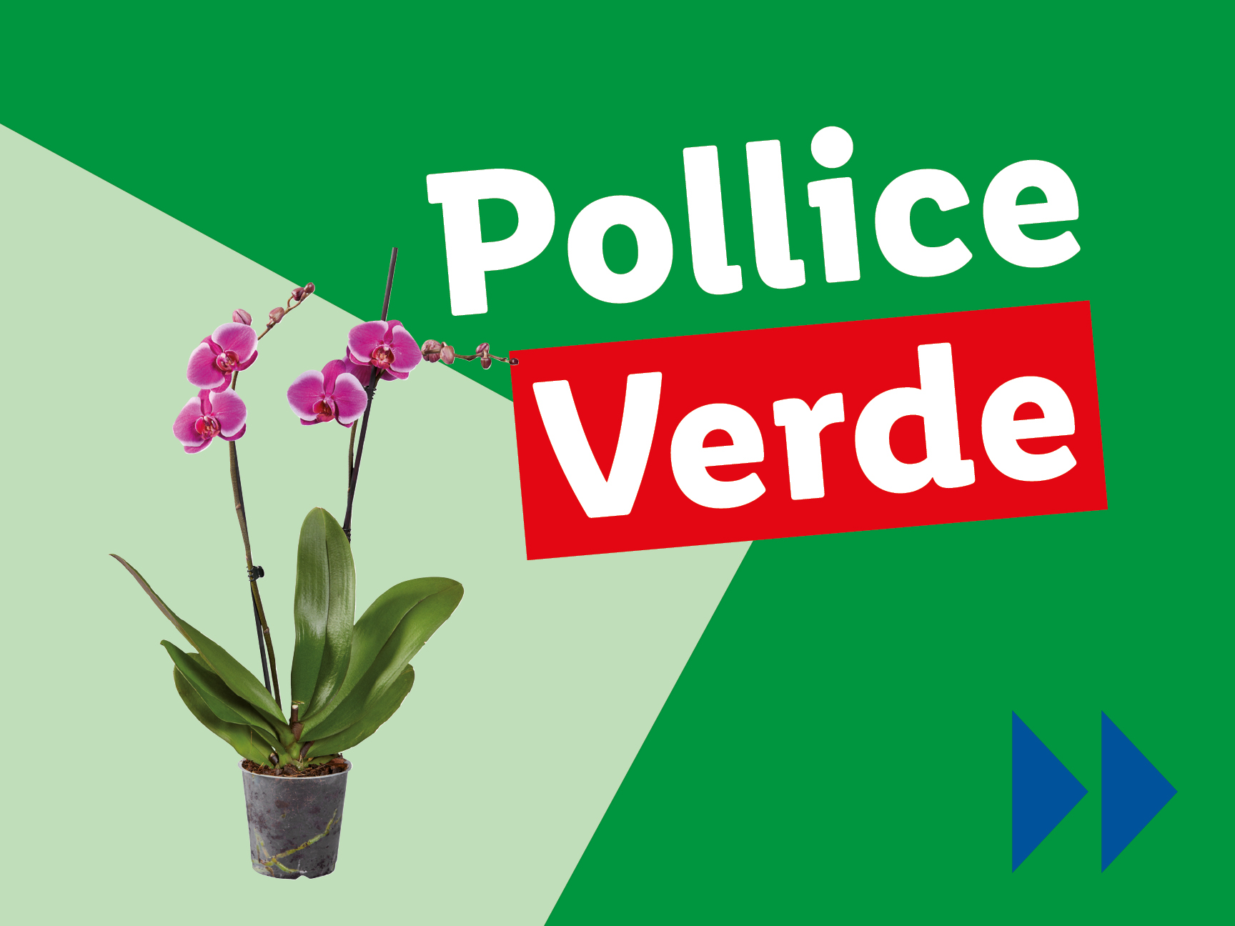 Pollice verde