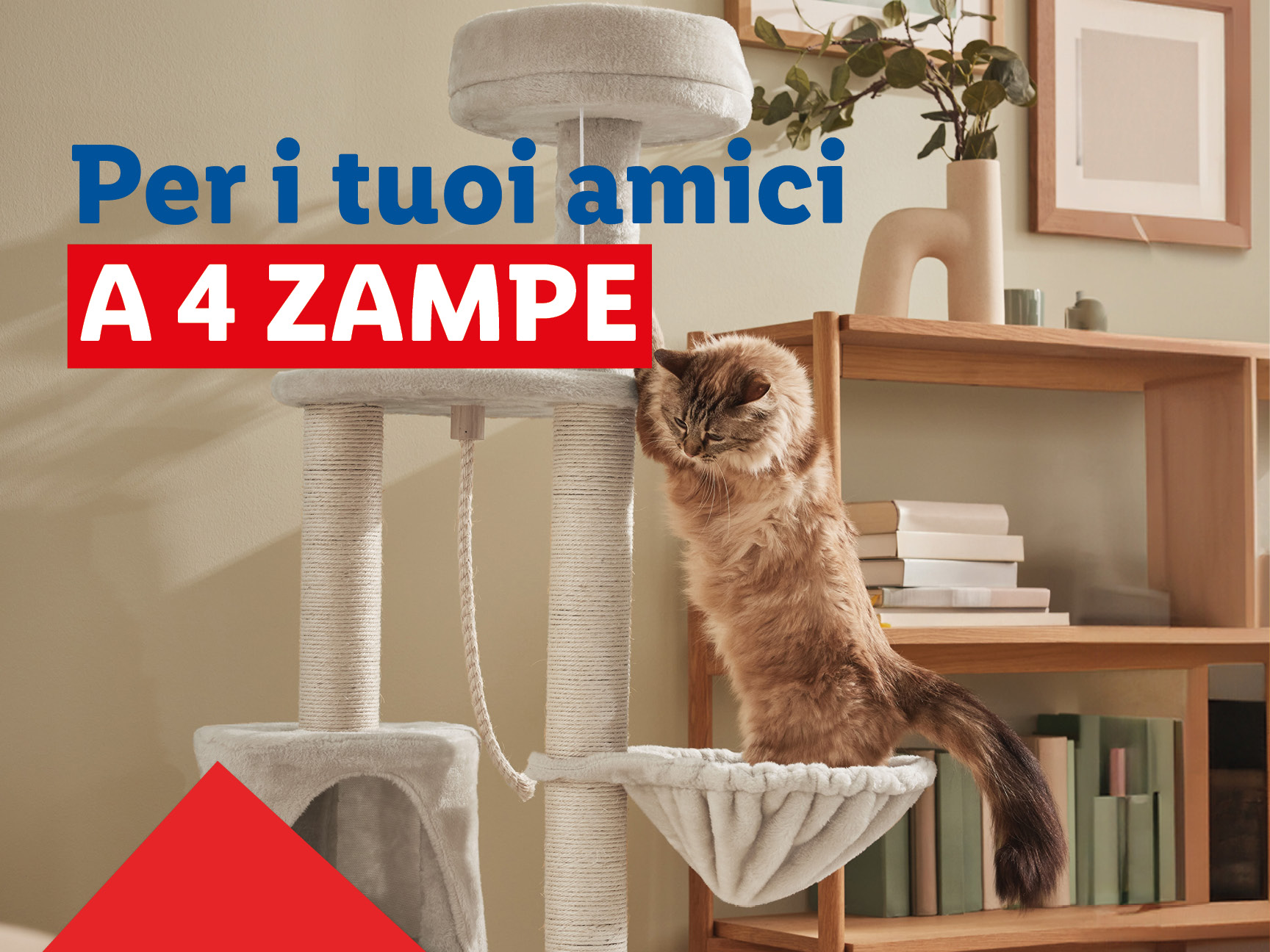 Per i tuoi amici a 4 zampe