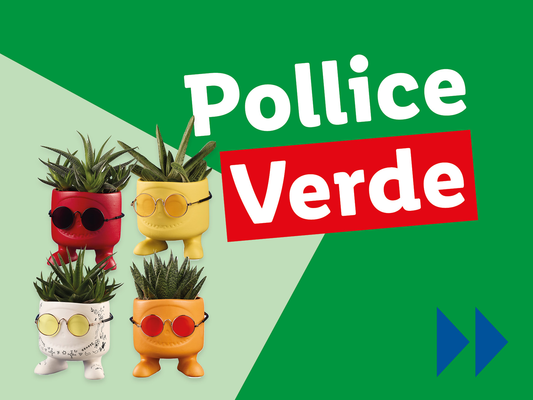 Vasi a forma di viso con occhiali e piante grasse, con la scritta 'Pollice Verde'.