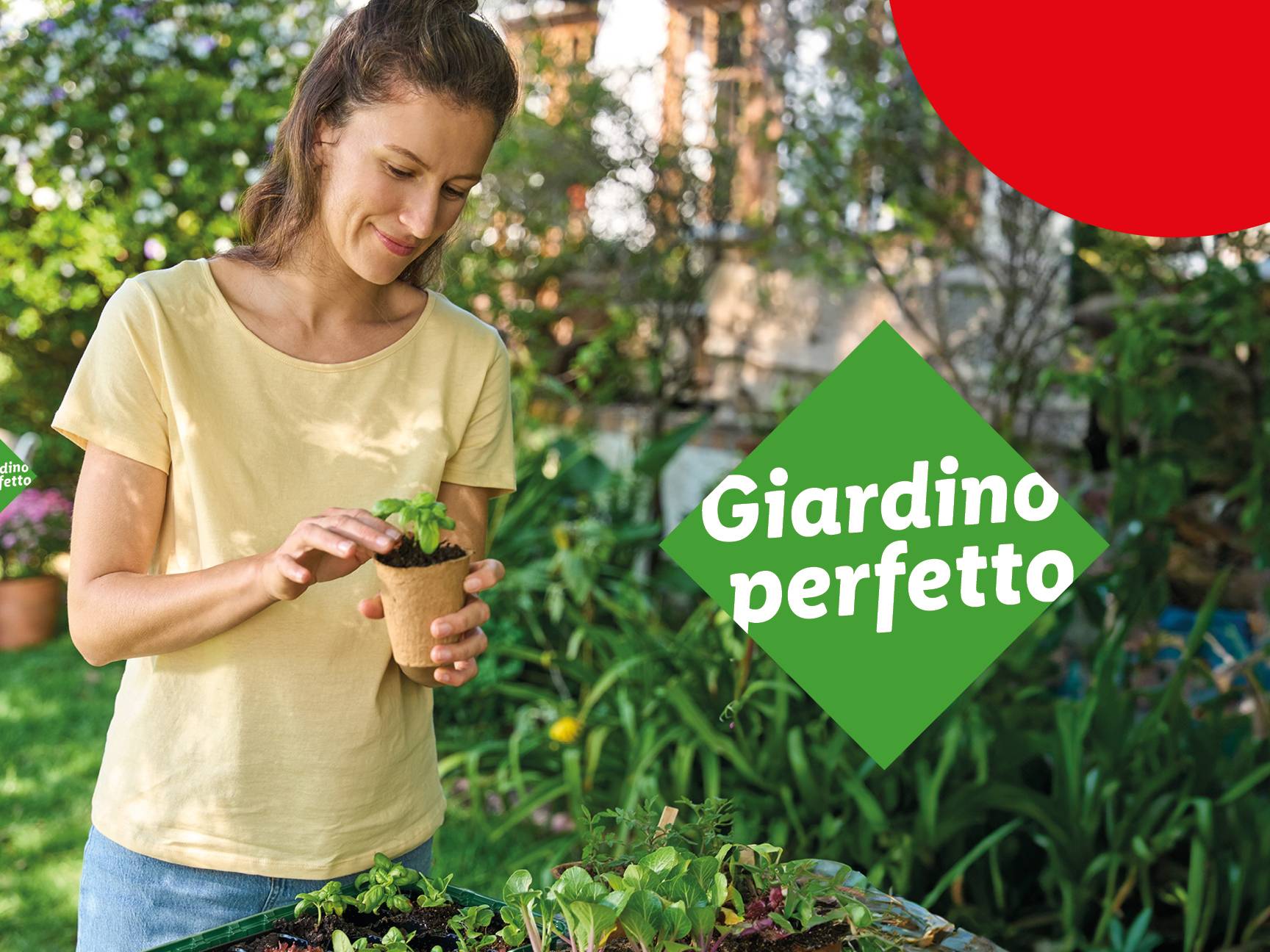 Una donna sorridente tiene in mano una piantina di basilico in un vaso biodegradabile.