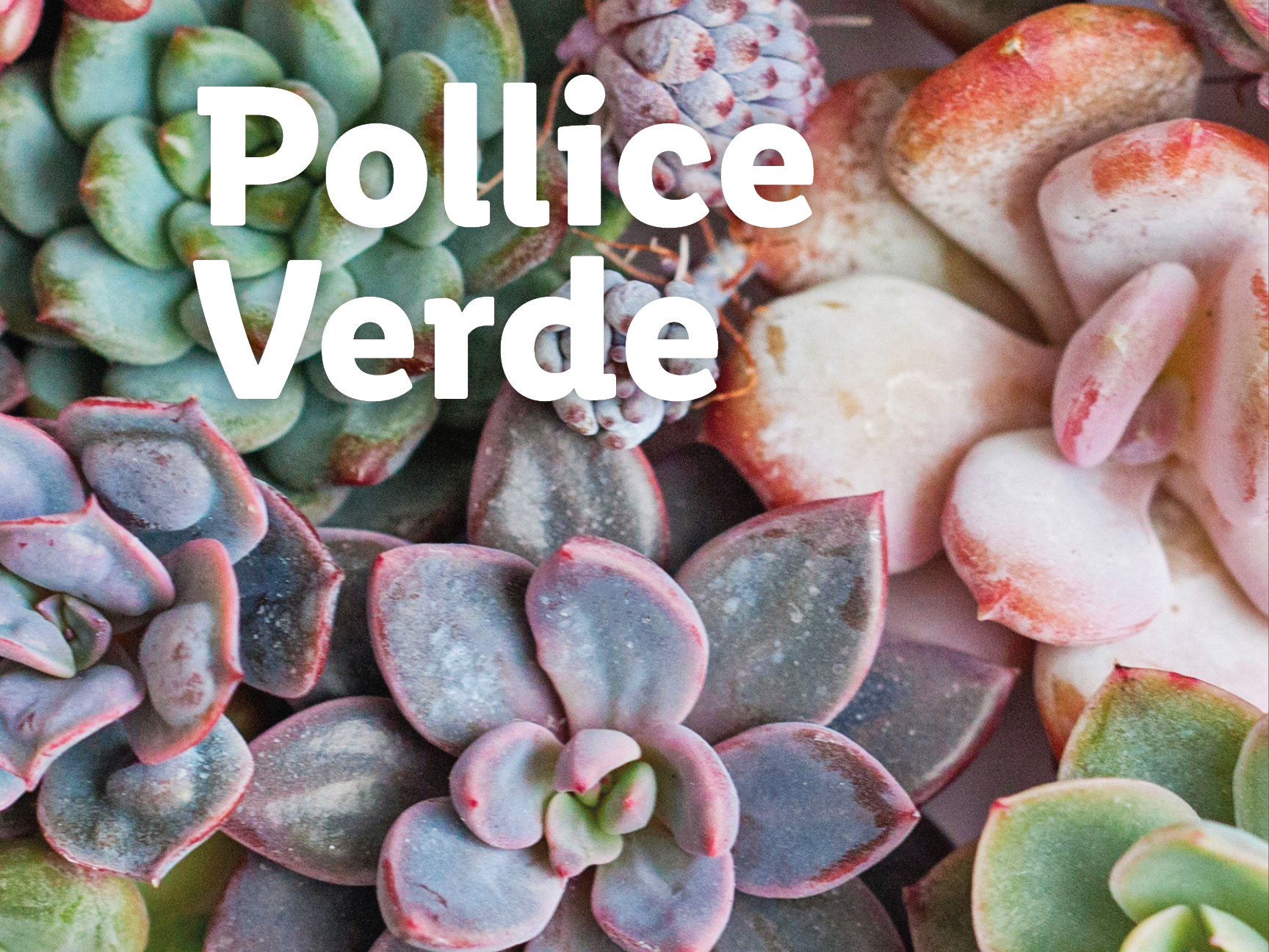 Una varietà di succulente con il testo 'Pollice Verde' in primo piano.