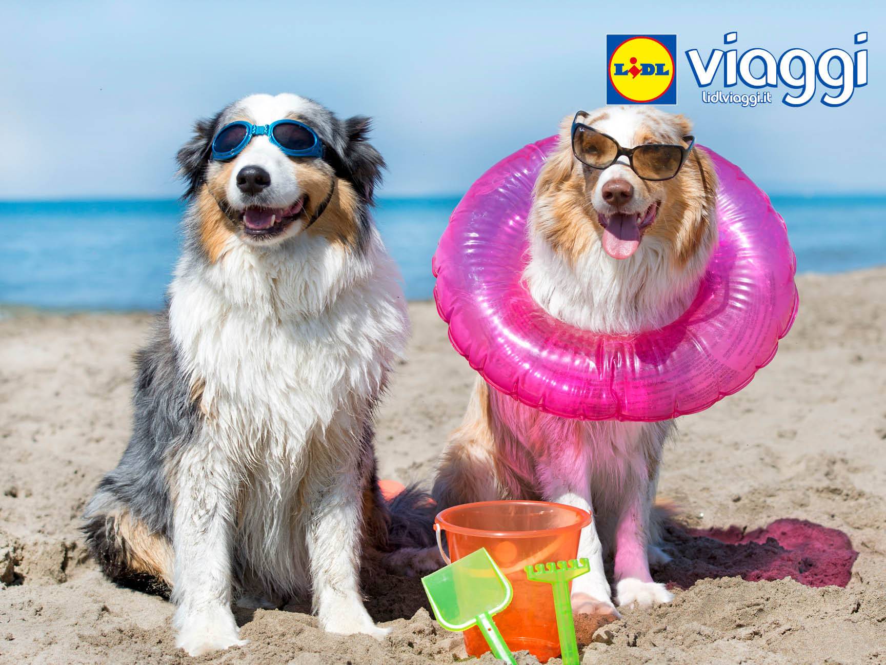 Lidl Viaggi