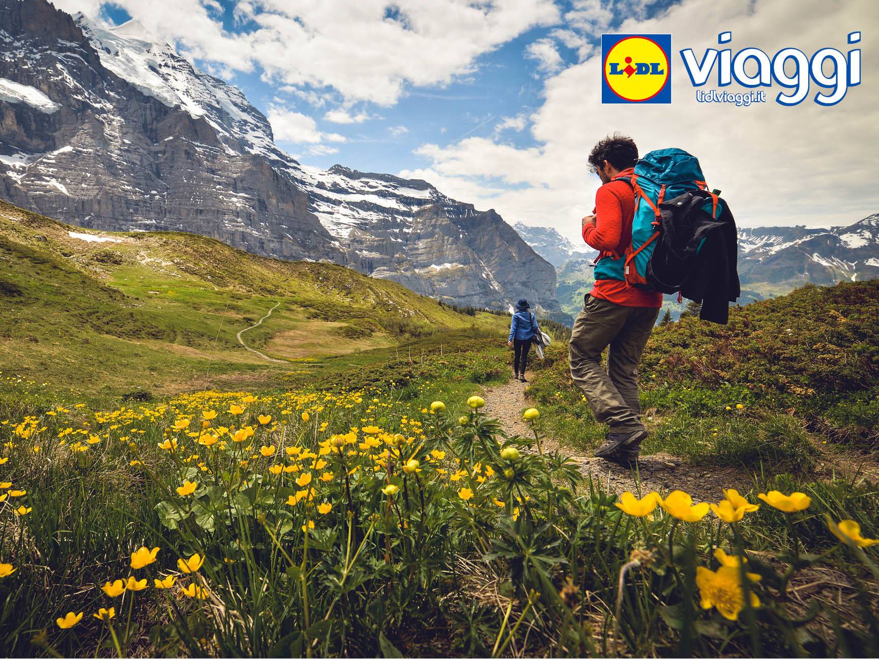 Lidl Viaggi