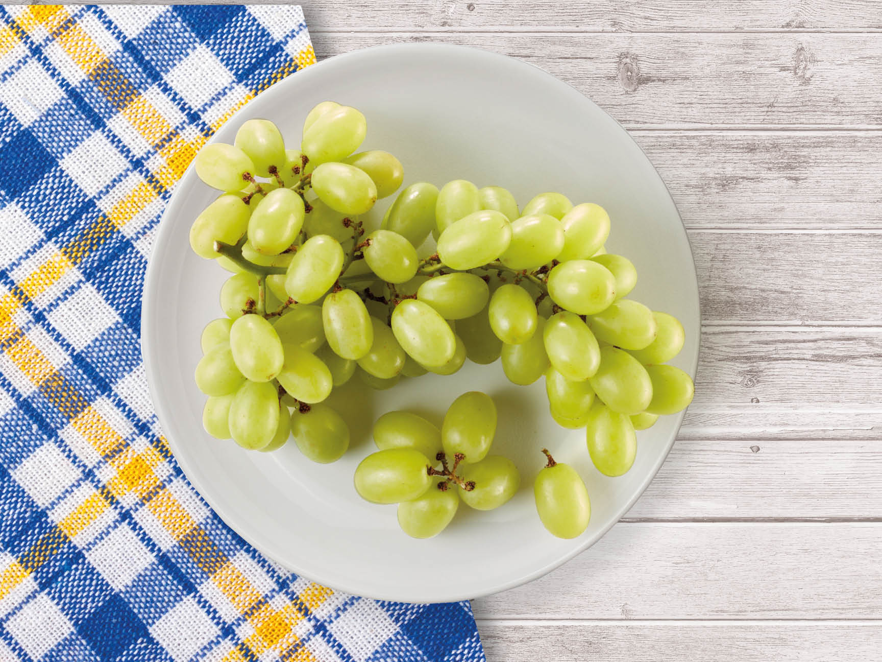 Frutta e Verdura