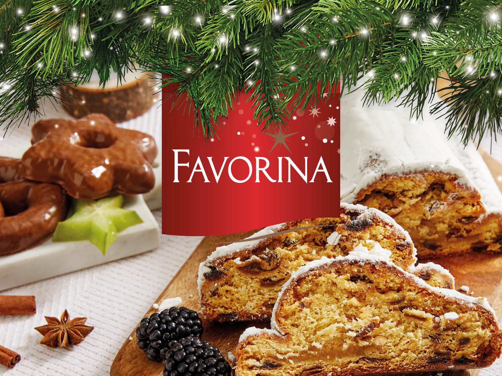 🎄 Favorina