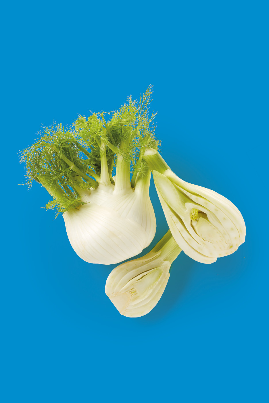 Finocchio intero e tagliato a metà su sfondo blu.