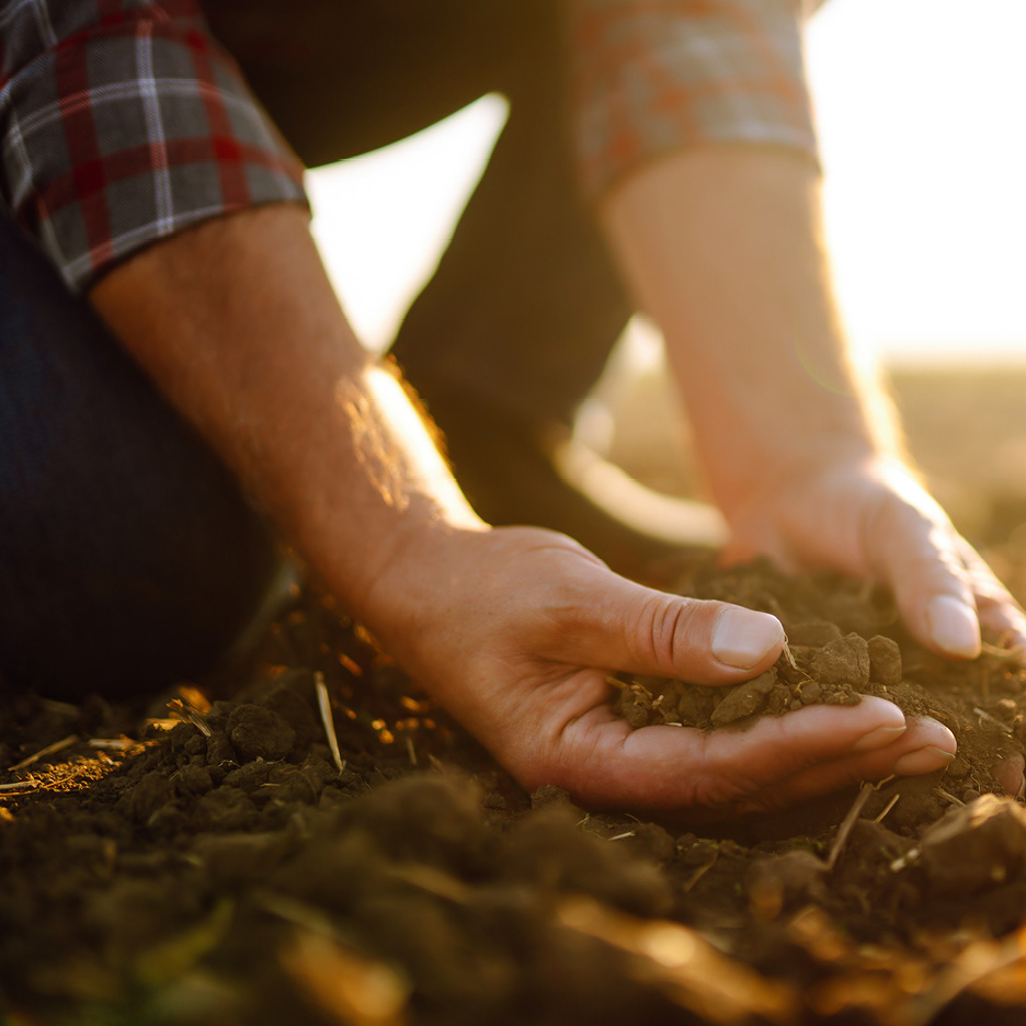 Firmato Dagli Agricoltori Italiani