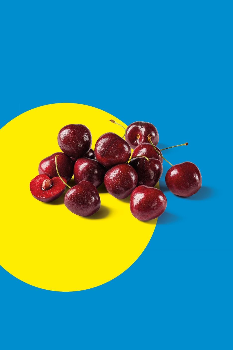 Ciliegie fresche e succose su sfondo giallo e blu.