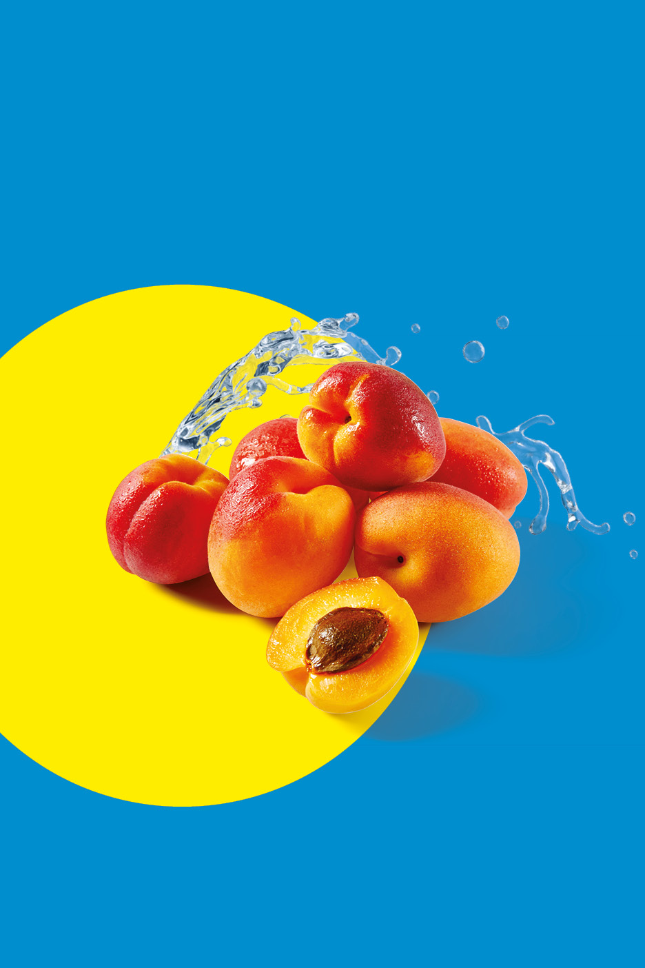 Albicocche fresche con schizzi d'acqua su sfondo blu e giallo.