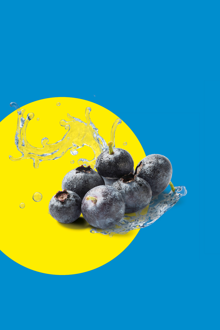Mirtilli freschi con schizzi d'acqua su sfondo giallo e blu.