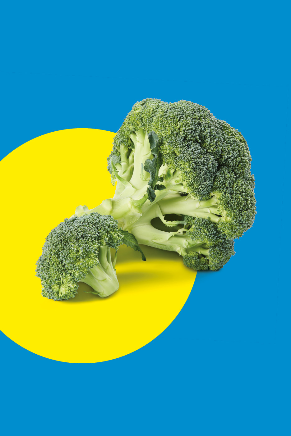 Broccoli freschi su sfondo giallo e blu.