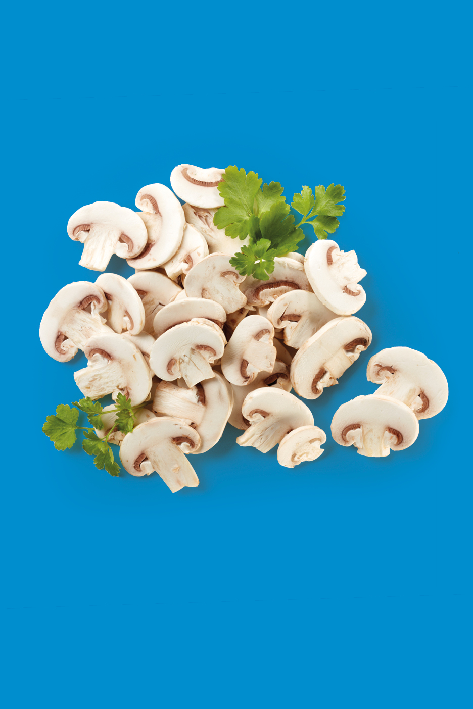 Funghi champignon affettati con prezzemolo su sfondo blu.