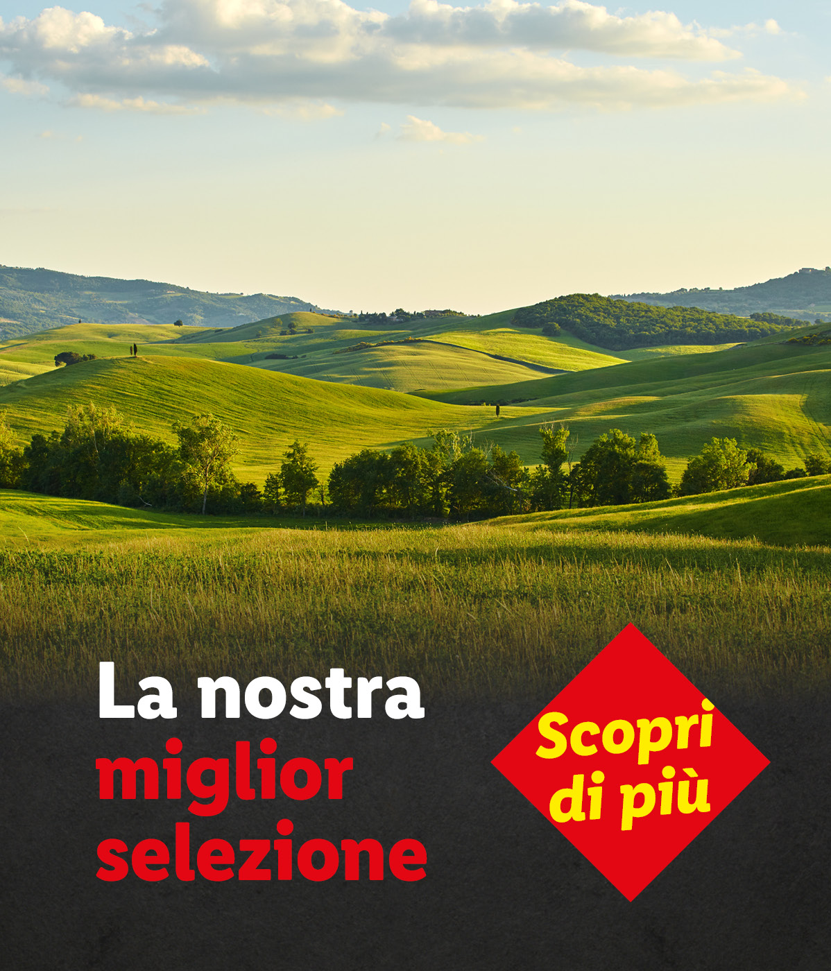 'La nostra miglior selezione'