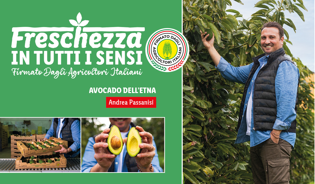 Avocado dell'Etna: freschezza in tutti i sensi, firmato dagli agricoltori italiani.