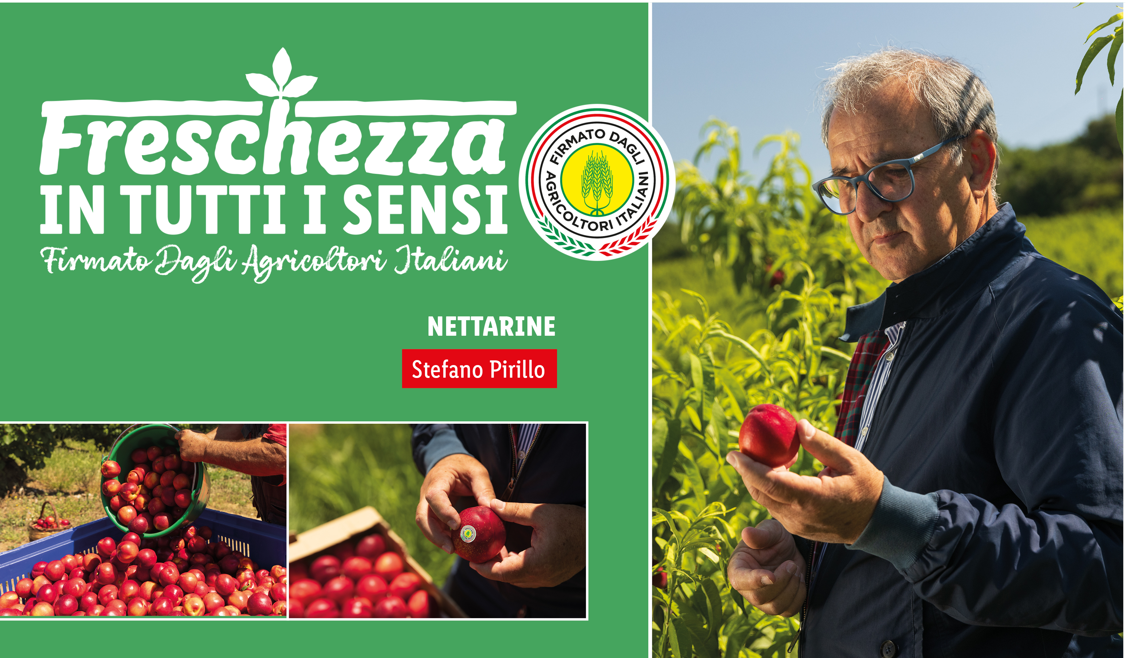 Nettarine fresche firmate dagli Agricoltori Italiani, raccolte a mano e pronte per essere gustate.