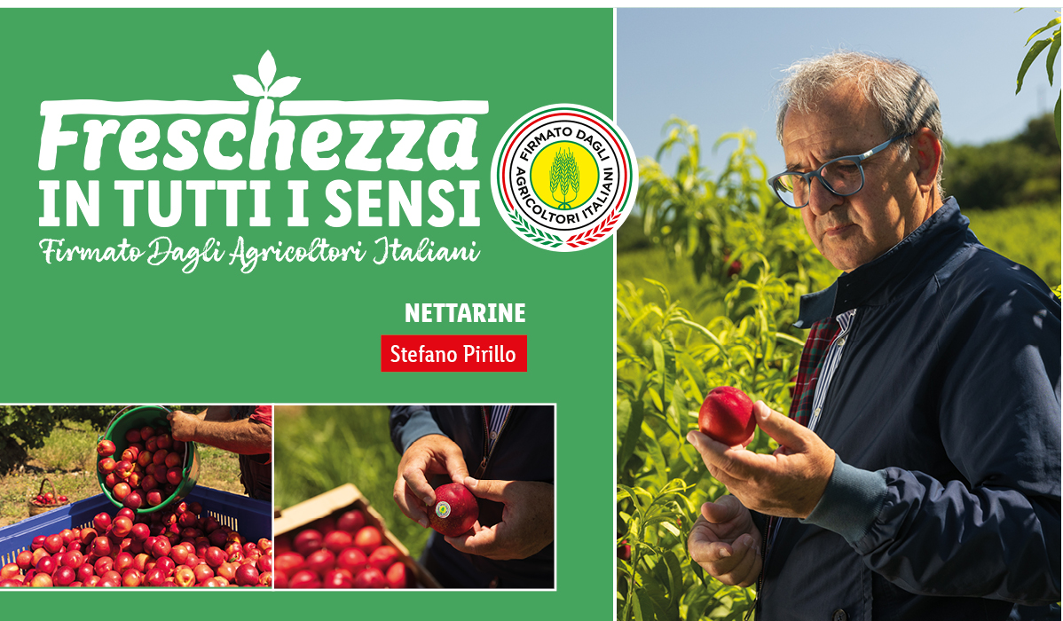 Nettarine fresche firmate dagli Agricoltori Italiani, raccolte a mano e pronte per essere gustate.