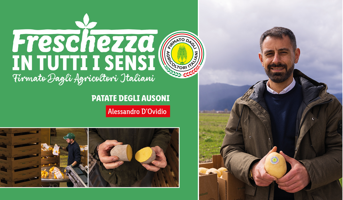 Patate degli Ausoni, freschezza in tutti i sensi, firmate dagli agricoltori italiani.