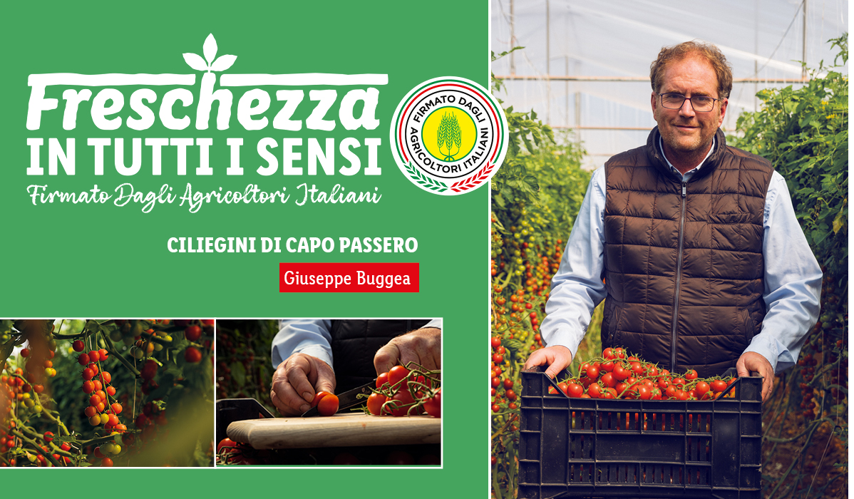 Ciliegini di Capo Passero: freschezza in tutti i sensi, firmati dagli agricoltori italiani.