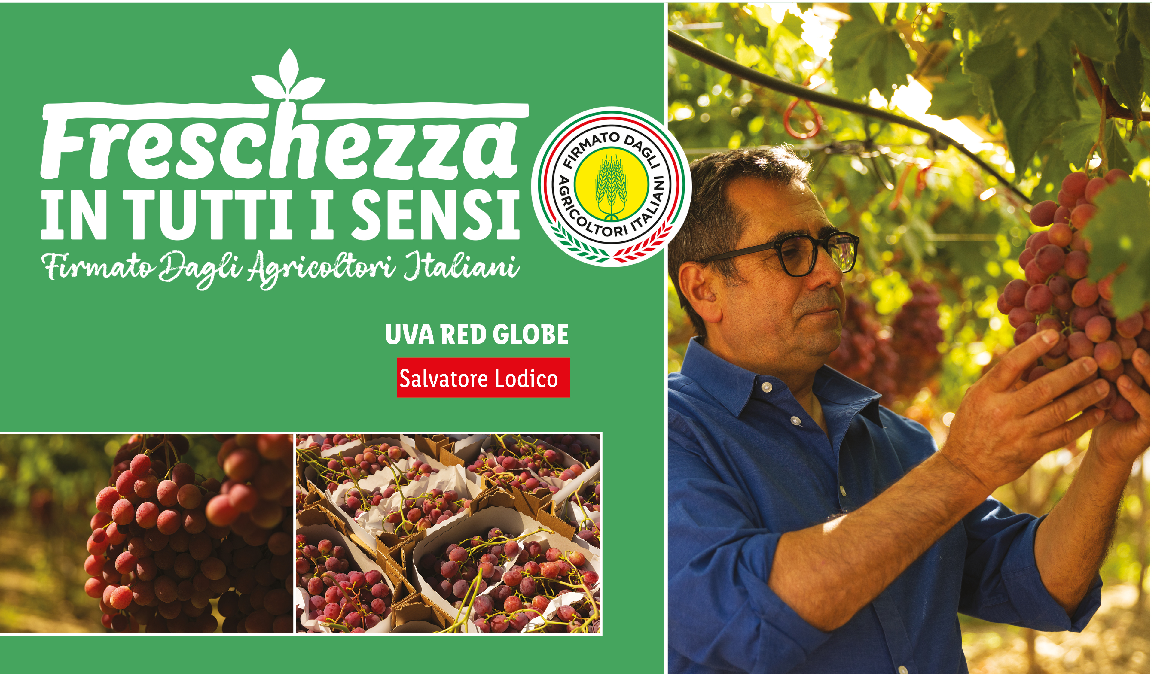 Uva Red Globe con un agricoltore e il logo 'Freschezza in tutti i sensi'.
