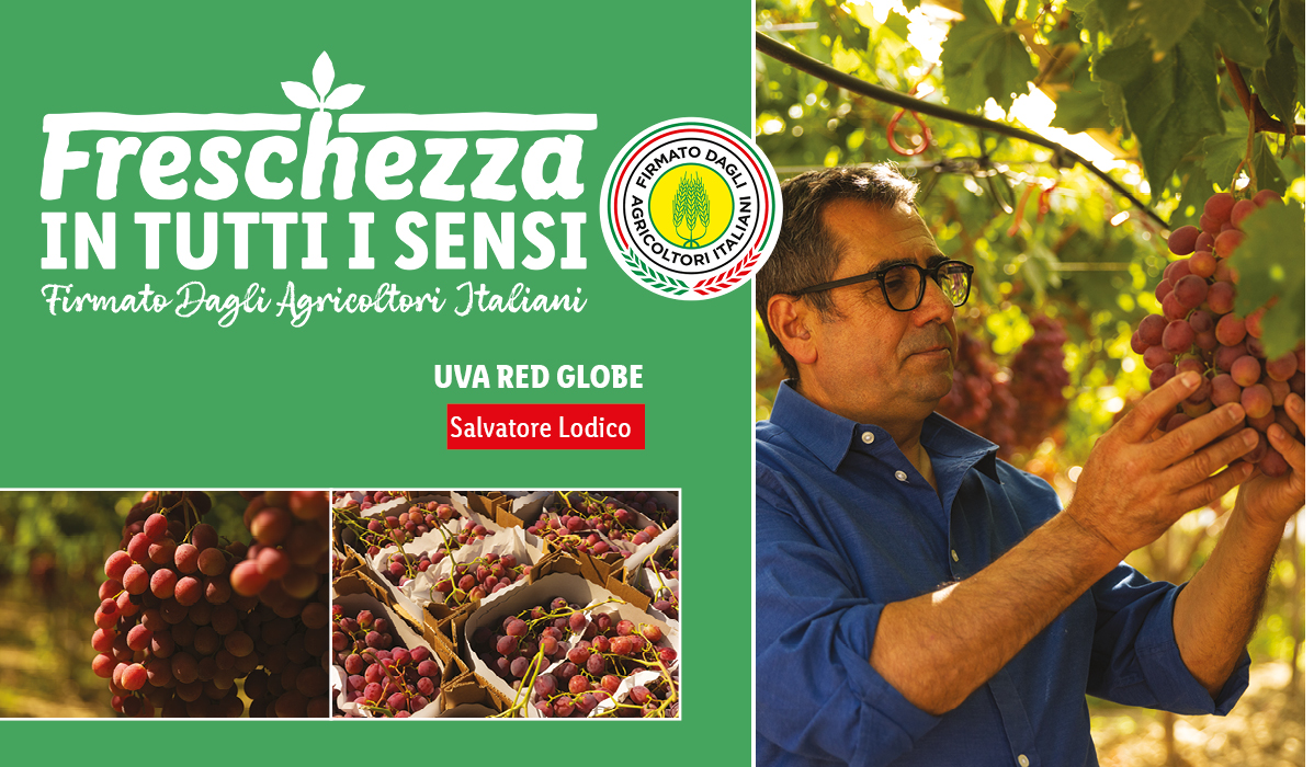 Uva Red Globe con un agricoltore e il logo 'Freschezza in tutti i sensi'.