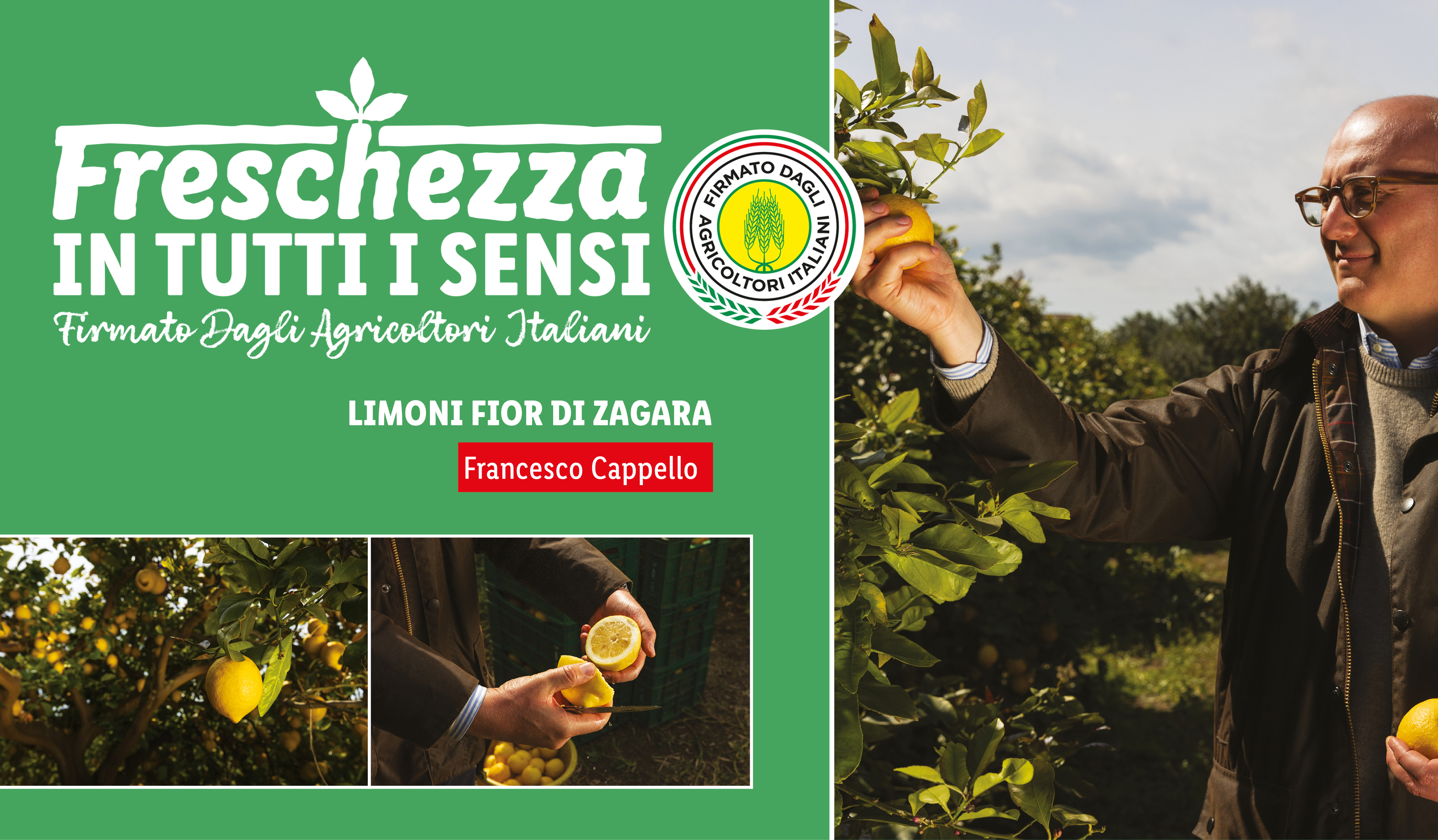 Uomo raccoglie limoni da un albero, con testo 'Freschezza in tutti i sensi' e 'Limoni Fior di Zagara'.
