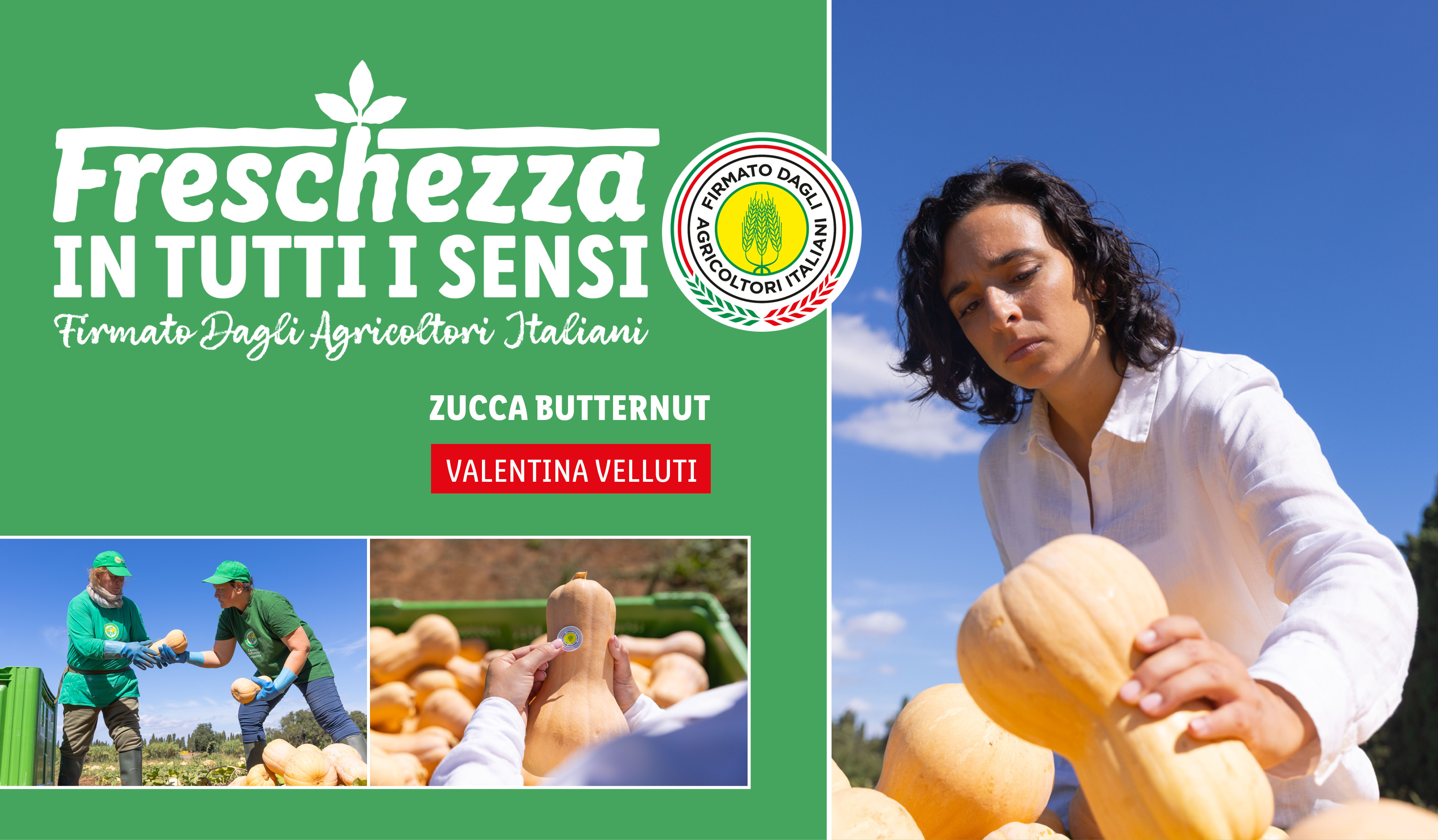 Freschezza in tutti i sensi