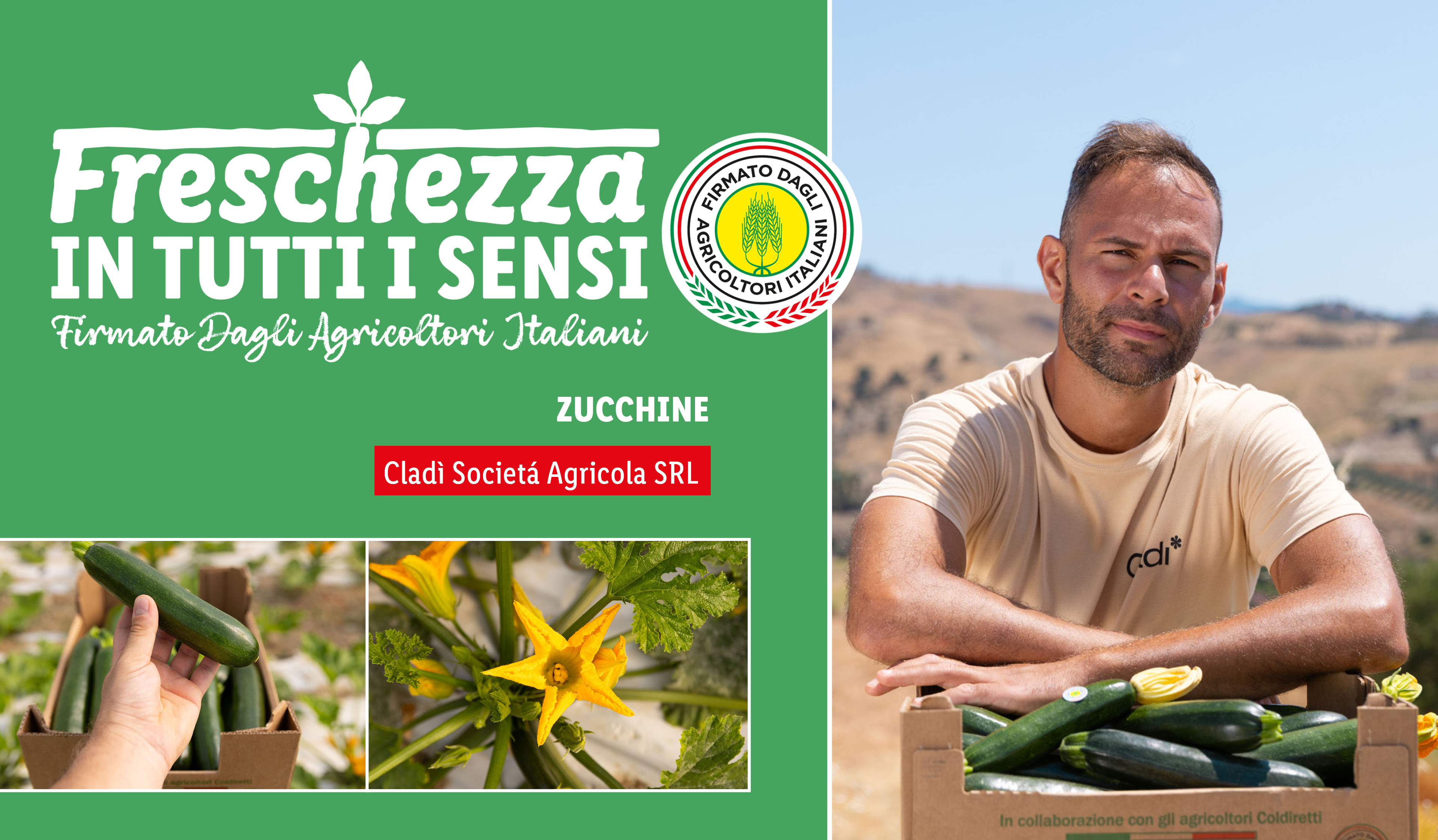 Zucchine fresche con agricoltore, logo 'Freschezza in tutti i sensi' e fiori di zucchina.