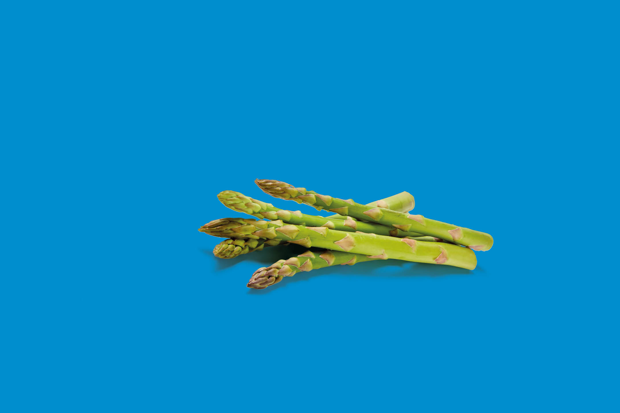 Un mucchio di asparagi verdi freschi su uno sfondo blu.